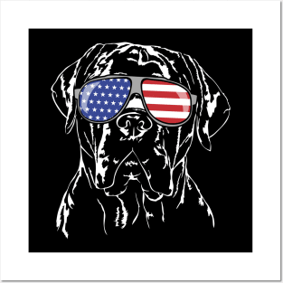 Cane Corso Italiano American Flag sunglasses patriotic dog Posters and Art